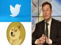 Twitter Logo : ट्विटरचा लोगो बदलला, मस्क बुडाले; मात्र Dogecoin ची किंमत एका फटक्यात २० टक्क्यांनी वाढली - Marathi News | Twitter Logo Twitter Logo Changed Musk Lost 75000 crores crypto currency Dogecoin suddenly increased by 20 percent details | Latest business News at Lokmat.com
