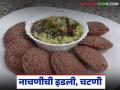 Nachani Idali : नाचणीचे पीठ वापरून तयार करा झटपट इडली, अशी आहे सोपी रेसिपी  - Marathi News | Latest news nachani Idali Make instant idli using ragi flour, here is a simple recipe | Latest agriculture News at Lokmat.com