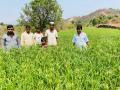 अकोले तालुक्यातील शेतकऱ्यांना मि‌ळाली नवी दिशा - Marathi News | Farmers in Akole taluka get new direction | Latest ahilyanagar News at Lokmat.com