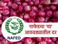 Nafed Kanda Rate : नाफेड कांदा खरेदीचा नवा दर जाहीर, पण 'या' तारखेपर्यंतच खरेदी? वाचा सविस्तर - Marathi News | Latest news Nafed kanda kharedi New Nafed onion purchase price announced and deadline 4th august | Latest agriculture News at Lokmat.com