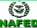 वाशिम जिल्ह्यात नाफेडकडून  केवळ ८८०० क्लिंटल तुरीची खरेदी  - Marathi News | Only 8800 quintal toor purchase by Nafed in Washim district | Latest vashim News at Lokmat.com
