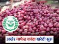 Nafed Kanda Kharedi : अखेर नाफेड कांदा खरेदी सुरु, पहा नाशिक जिल्ह्यातील सोसायट्यांची यादी  - Marathi News | Latest news Finally Nafed onion procurement has started, see the list of societies in Nashik district | Latest agriculture News at Lokmat.com