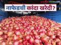 Nafed Kanda Kharedi : नाफेडचा कांदा घोटाळा गाजल्यानंतर यंदाची खरेदी वादात सापडलीय का?  - Marathi News | latest News Nafed Kanda khared procurement in controversy after Nafed onion scam | Latest agriculture News at Lokmat.com