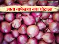 Nafed Onion Scam : नाफेडचा चमत्कार, साठवला उन्हाळी कांदा, पण बाहेर निघाला लाल कांदा - Marathi News | Nafed Onion Scam : Miracle of Nafed summer onion stored but red onion came out | Latest agriculture News at Lokmat.com