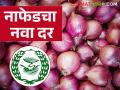 Nafed Kanda Rate : नाफेडकडून कांदा खरेदीचा नवा दर जाहीर, वाचा सविस्तर  - Marathi News | Latest News Nafed Kanda Rate Nafed announces new onion purchase rate, read in detail | Latest agriculture News at Lokmat.com