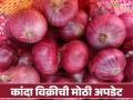 Nafed Kanda : महाराष्ट्रातील कांदा विक्रीबाबत नाफेडचा मोठा खुलासा; वाचा सविस्तर - Marathi News | Nafed Kanda: Nafed's big disclosure regarding onion sales in Maharashtra; Read in detail | Latest agriculture News at Lokmat.com