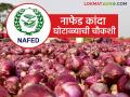 Agriculture News : नाफेड कांदा खरेदी घोटाळ्याची चौकशीची मागणी, क्षत्रिय महासभेचे निवेदन  - Marathi News | Latest News Agriculture News Kshatriya Mahasabha's statement demanding inquiry into Nafed onion procurement scam  | Latest agriculture News at Lokmat.com