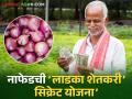Nafed Onion Scam: नाफेडच्या ‘लाडक्या शेतकरी योजने’मुळे दारात आली फॉर्चुनर गाडी - Marathi News | Nafed Onion Scam: Nafed's secrete 'Ladka Shetkari Yojana' has brought Fortuner cars to the door | Latest agriculture News at Lokmat.com