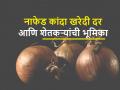 Nafed Onion Purchase: ‘नाफेडच्या कांदा खरेदी दरात पुन्हा बदल; शेतकऱ्यांनी नाफेडला कांदा देऊच नये...’  - Marathi News | NAFED's Onion Purchase Rate Changed Again; Farmers should not give onion to Nafed  | Latest agriculture News at Lokmat.com