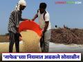 NAFED Soybean Kharedi : 'नाफेड'च्या खरेदी प्रक्रियेत सोयाबीन उत्पादक शेतकरी अडचणीत वाचा सविस्तर - Marathi News | latest news NAFED Soybean Kharedi: Soybean farmers in trouble in the procurement process of 'NAFED' Read in detail | Latest agriculture News at Lokmat.com