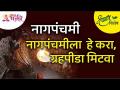 श्रावण विशेष | Nagpanchami Special | नागपंचमीला हे करा, ग्रहपीडा मिटवा | Lokmat Bhakti - Marathi News | Shravan Special | Nagpanchami Special | Do this to Nagpanchami, erase the planetary pain Lokmat Bhakti | Latest bhakti Videos at Lokmat.com
