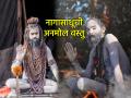 नागासाधूंसाठी प्राणापेक्षाही प्रिय असते 'ही' वस्तू; ती तुटली तर मिळते कठोर शिक्षा! - Marathi News | This object is dearer than life to Naga sadhus; if it is broken, severe punishment awaits! | Latest bhakti News at Lokmat.com
