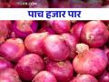 Kanda Bajar Bhav : नगर बाजार समितीत २७ हजार क्विंटल कांदा आवक कसा मिळाला दर - Marathi News | Kanda Bajar Bhav : 27 thousand quintals of onion arrival in market committee How much get market price | Latest agriculture News at Lokmat.com