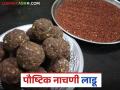 Nagali Ladu : नागलीच्या लाडूंना मागणी वाढली, असे बनवा घरच्या घरी नागलीचे लाडू ! - Marathi News | Latest News Demand for Nagli laddus has increased, make Nagli laddus at home see Details | Latest agriculture News at Lokmat.com