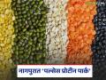 Pulses Protein Park : शेतकऱ्यांना आर्थिकदृष्ट्या सक्षम करण्यासाठी राज्य सरकारचा महत्त्वाकांक्षी उपक्रम - Marathi News | latest news Pulses Protein Park: An ambitious initiative of the state government to economically empower farmers | Latest agriculture News at Lokmat.com
