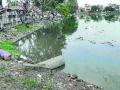 नागपुरातील नाईक तलावाचा निधी थांबविला, संवर्धनही थांबले - Marathi News | Funding for Naik Lake in Nagpur stopped, conservation also stopped | Latest nagpur News at Lokmat.com