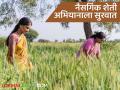 Natural Farming : महाराष्ट्राला नैसर्गिक शेतीचे पुढचे हब बनवू - मुख्यमंत्री देवेंद्र फडणवीस  - Marathi News | Latest News Organic Farming Let's make Maharashtra the next hub of natural farming says Chief Minister Devendra Fadnavis | Latest agriculture News at Lokmat.com