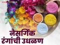 Naisargik Rang : शेतीतील या उत्पादनांपासून कसे बनवाल नैसर्गिक रंग? वाचा सविस्तर - Marathi News | Naisargik Rang : How to make natural colors from these agricultural products? Read in detail | Latest agriculture News at Lokmat.com