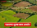 भोगवटादार वर्ग-2 च्या जमिनी संदर्भात नजराणा शुल्क भरावेच लागते का, रक्कम किती असते?  - Marathi News | Latest News mandatory to pay Nazrana fee in respect of Occupier Class-2 land | Latest agriculture News at Lokmat.com