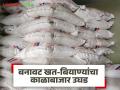 सीमावर्ती भागातून बोगस बियाण्यांची घुसखोरी; नांदेडसह मराठवाड्यात काळाबाजार उघड! वाचा सविस्तर - Marathi News | Infiltration of bogus seeds from border areas; Black market exposed in Marathwada including Nanded! Read in detail | Latest agriculture News at Lokmat.com