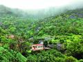 नाणे मावळ परिसर : निसर्गरम्य गावांची पडतेय भुरळ - Marathi News |  Naga Maval Complex: The Necessity of Natural Villages | Latest pimpri-chinchwad News at Lokmat.com