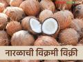 Naral Market : बाप्पा पावला साडेचार हजार टन नारळाची विक्री - Marathi News | Naral Market : Sale of four and a half thousand tons of coconut to Ganesha Fesdtival | Latest agriculture News at Lokmat.com