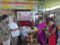 जागतिक नारळ दिन : नारळ लागवडीला सिंधुदुर्ग जिल्ह्यात वाव - Marathi News | Coconut cultivation in the district, Coconut cultivation for economic well-being | Latest sindhudurga News at Lokmat.com