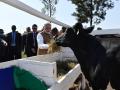 गोदान! नरेंद्र मोदींनी रवांडातील नागरिकांना दिल्या 200 गाई - Marathi News | Narendra Modi gave 200 cows to Rwanda | Latest international Photos at Lokmat.com