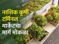 नाशिक कृषी टर्मिनल मार्केटसाठी १०० एकर जागा - Marathi News | 100 acres of land for Nashik Agricultural Terminal Market | Latest agriculture News at Lokmat.com