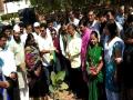नाशिकमध्ये 80 पेक्षा अधिक दुर्मिळ वृक्षांची लागवड - Marathi News | More than 80 rare trees planted in Nashik | Latest nashik News at Lokmat.com