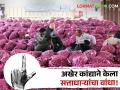Loksabha Election Result : नाशिक आणि दिंडोरी लोकसभा निवडणुकीत कांदा ठरला जायंट किलर  - Marathi News | Latest News Loksabha Election Result 2024 BJP's defeat in Nashik and Dindori Lok Sabha due to neglect of onion issue | Latest agriculture News at Lokmat.com