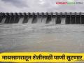 Jayakwadi Dam Water : नाथसागरातील पाण्याचे आवर्तन जाहीर ; रब्बीतील पिकांना मिळणार पाणी - Marathi News | Jayakwadi Dam Water : Water circulation in Nathsagar announced ; Rabi crops will get water | Latest agriculture News at Lokmat.com