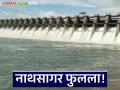 Jayakwadi Dam Update : जायकवाडी धरणातून पुन्हा पाण्याचा विसर्ग; किती उघडले दरवाजे वाचा सविस्तर - Marathi News | latest news Jayakwadi Dam Update: Water released from Jayakwadi Dam again; Read in detail how many gates were opened | Latest agriculture News at Lokmat.com