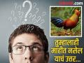 कोंबडा कोणत्या देशाचा राष्ट्रीय पक्षी आहे? अनेकांना माहीत नसेल याचं उत्तर... - Marathi News | Which country's national bird is hen? know the answer | Latest jarahatke Photos at Lokmat.com