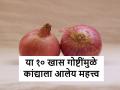 National Onion Day: आज राष्ट्रीय कांदा दिवस, कांद्याबद्दलच्या या १० गोष्टी तुम्हाला माहितायत का - Marathi News | National Onion Day: do you know these 10 facts about onions | Latest agriculture News at Lokmat.com