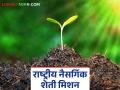 Natural Farming : 'या' जिल्ह्यात अडीच हजार हेक्टरवर होणार नैसर्गिक शेतीचा प्रयोग वाचा सविस्तर - Marathi News | Natural Farming: Natural farming experiment to be conducted on 2500 hectares in 'this' district Read in detail | Latest agriculture News at Lokmat.com
