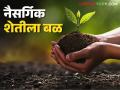 Natural Farming : नैसर्गिक शेतीचा विस्तार; वाशिम जिल्ह्यात २० संसाधन केंद्रांतून दर्जेदार निविष्ठांची निर्मिती - Marathi News | latest news Natural Farming: Expansion of natural farming; Production of quality inputs from 20 resource centers in Washim district | Latest agriculture News at Lokmat.com