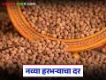 Harbhara Market : नवीन हरभऱ्याची आवक, क्विंटलमागे सरासरी काय दर मिळतोय, वाचा सविस्तर  - Marathi News | Latest news Harbhara market New arrival of gram, what is the average price per quintal, read in detail | Latest agriculture News at Lokmat.com