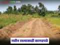 Shet Jamin Rasta : नवीन रस्त्यासाठी किंवा उपलब्ध रस्ता मोकळा करण्यासाठी कोणती कागदपत्रे लागतात?  - Marathi News | Latest news shet Jamin Issue What documents are required for new road or to clear an existing road | Latest agriculture News at Lokmat.com