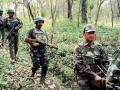 Gadchiroli Naxal Encounter: 8.30 तास मृत्यूशी झुंज! डोक्यातून रक्त वाहत होते, गुडघा जायबंदी, तरीही लढत राहिले नक्षवाद्यांसोबत - Marathi News | Gadchiroli Naxal Encounter: 8.30 hours to fight death! Commandos telling story behind Encounter | Latest crime Photos at Lokmat.com