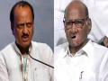 शरद पवार गटाला धक्का! नागालँडचे ७ आमदार अजित पवार गटासोबत - Marathi News | Shock to Sharad Pawar group! 7 Nagaland MLAs with Ajit Pawar group | Latest mumbai News at Lokmat.com