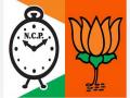 ZP Election Result 2026: धाकधूक वाढली, पळसदेव गणात कमळ फुलणार की घड्याळ ? - Marathi News | ZP Election Result 2026 Fears grew, will the lotus bloom in the Palasdev group or the clock? | Latest pune News at Lokmat.com