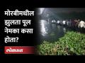 Morbi Bridge Collapse: १४० वर्षांपूर्वीचा झुलता पूल कसा पडला? जबाबदार कोण? - Marathi News | Morbi Bridge Collapse: How did the 140-year-old suspension bridge collapse? Who is responsible? | Latest national Videos at Lokmat.com