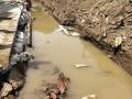जलवाहिन्या तुटल्याने नेरळमध्ये पाणीटंचाई - Marathi News | Water drainage in Nerl | Latest raigad News at Lokmat.com