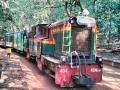 चला, माथेरानला; आजपासून मिनी ट्रेन सेवा पूर्ववत, अप-डाऊन मार्गावर रोज प्रत्येकी दोन-दोन फेऱ्या - Marathi News | Come, to Matheran; Mini train service resumed from today, two trips each day on Up-Down route | Latest maharashtra News at Lokmat.com