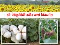 Agricultural Research : देशी कपाशीचा आधुनिक धागा - Marathi News | Agricultural Research: New Research in Cotton Varieties | Latest agriculture News at Lokmat.com