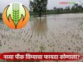 Pik Vima Yojana : नवी पीक विमा योजना कुचकामी; अतिवृष्टी, पुराचे संरक्षण रद्द वाचा सविस्तर - Marathi News | latest news Pik Vima Yojana: New crop insurance scheme ineffective; Heavy rain, flood protection cancelled Read in detail | Latest agriculture News at Lokmat.com