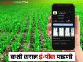 E-Peek Pahani : नवीन ई-पीक पाहणी DCS मोबाईल अॅपमध्ये कशी कराल पीक पाहणी? वाचा सविस्तर - Marathi News | E-Peek Pahani : New e crop inspection How to do E-Peek Pahani in DCS mobile app? Read in detail | Latest agriculture News at Lokmat.com