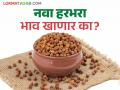 Harbhara Market : नवा हरभरा बाजारात दाखल; प्रति क्विंटल असा मिळतोय भाव - Marathi News | Harbhara Market: New gram has entered the market; The price per quintal is being obtained as follows | Latest agriculture News at Lokmat.com