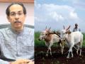 BREAKING: नियमित कर्ज फेडणाऱ्या शेतकऱ्यांना ३ लाखापर्यंत बिनव्याजी कर्ज मिळणार, ठाकरे सरकारचा मोठा निर्णय - Marathi News | Farmers who repay regular loans will get interest free loans up to Rs 3 lakh maharashtra government announcement | Latest mumbai News at Lokmat.com